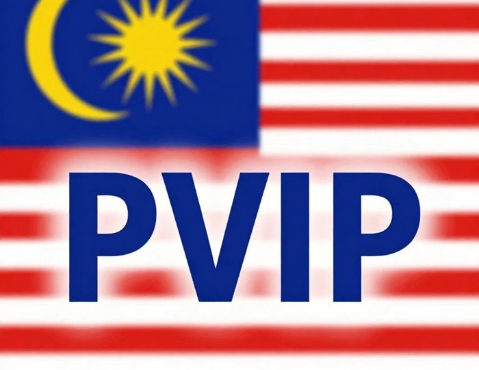 【2026年】PVIPとは?条件・費用をわかりやすく解説