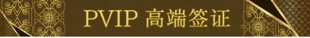 PVIP指南