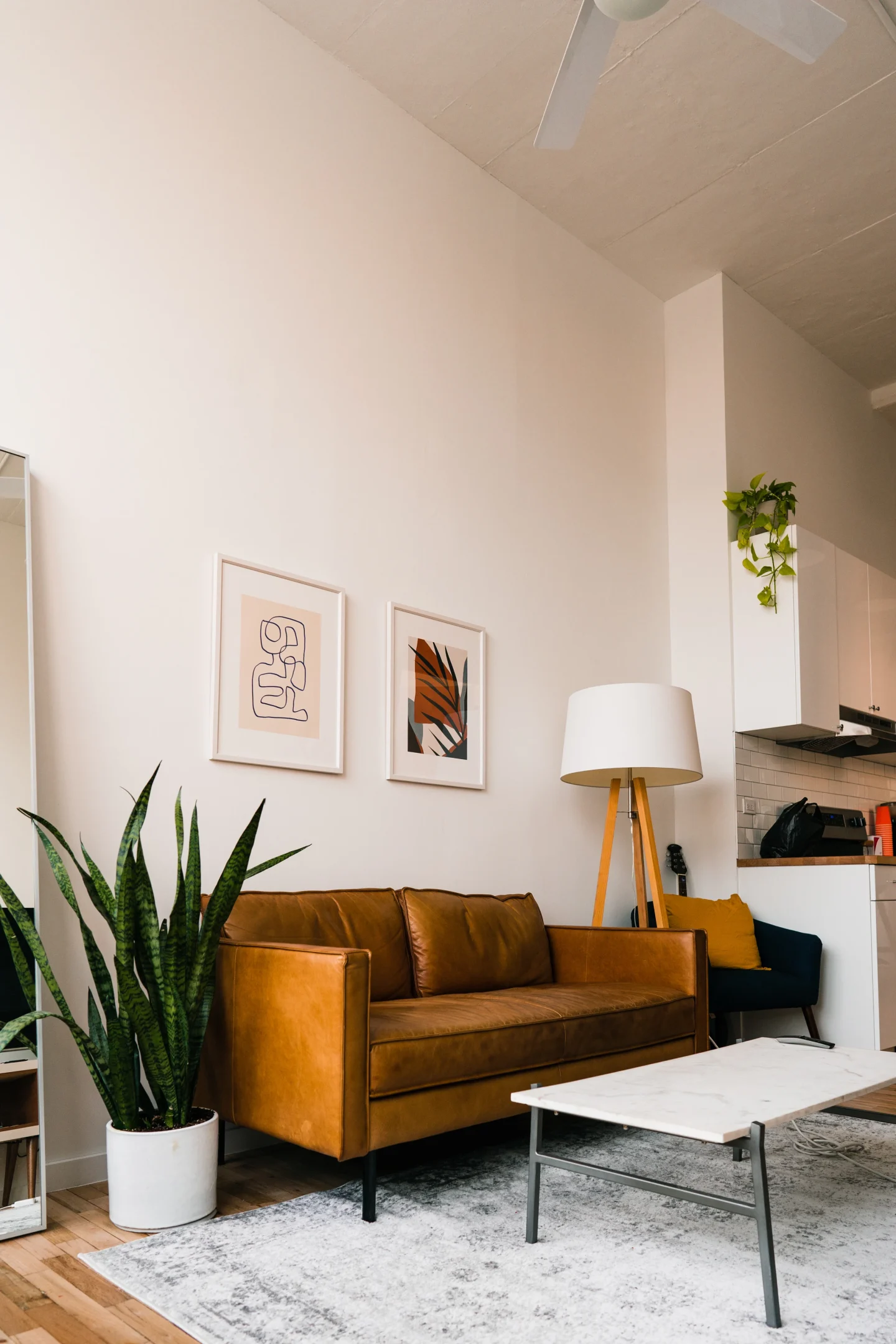 A home with a sofa and indoor plants (illustrative)