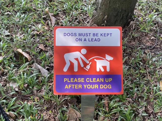 Pet-Friendly Condominiums in Kuala Lumpur [2026]